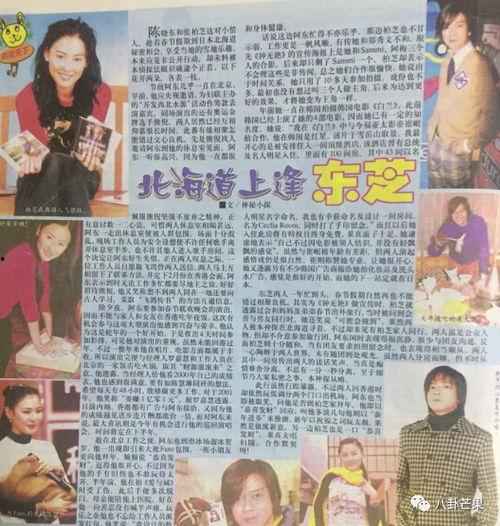 娱乐圈吃瓜爆料小说阅读